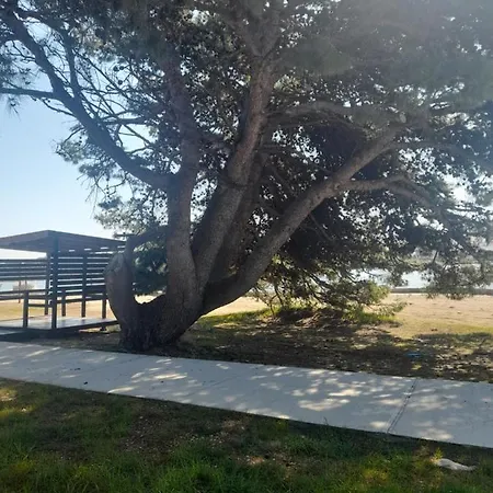 Mobilna Kuca T&d Privlaka (Zadar)